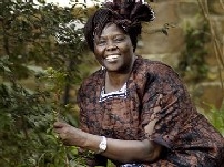 <a href=http://msnbcmedia.msn.com/j/msnbc/Components/Photos/051005/051005_wangari_hmed_6a.h2.jpg>Wangari by a tree</a>.