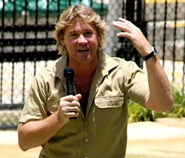 Steve Irwin at Australia Zoo (wikipeadia steve irwin)