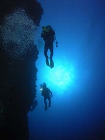 Scuba divers<br>Photo courtesy of Jim Dean