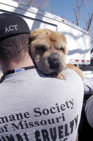 An animal cop rescuing this dog. (http://www.heraldtimesonline.com/stories/2009/02/21/_ul_Humane_Society_Puppy_Mill_K+Z.jpg)