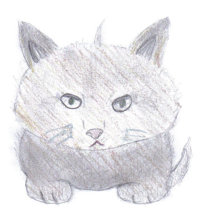 Rescue kitten (Drawn by Sabrina)