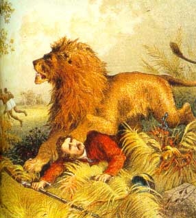 A painting of the time a lion attacked Livingston (http://www.hpgabarone.co.za/images/lion.jpg)