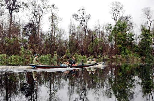 In this Friday, Jan. 8, 2016 photo, a boat sails on a river at a peat land forest recently burned in a wildfire in Sungai Mangkutub, Central Kalimantan, Indonesia. Indonesia has strengthened its moratorium on converting peat swamps to plantations in a move a conservation research group says would prevent annual fires and substantially cut the country's carbon emissions if properly implemented. (AP Photo/Dita Alangkara)