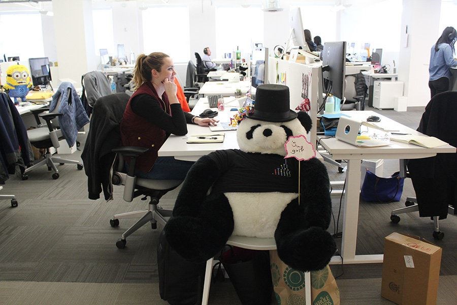 Employees at Lever, a recruitment software start-up in San Francisco, vote weekly to award this giant stuffed panda to a co-worker who best exemplifies company values at work. (Jessica Mendoza/The Christian Science Monitor)