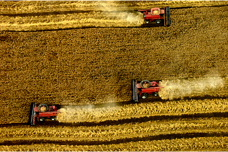 Three combines harvest a wheat field near Salina, Kan., in 2005. (Jeff Cooper/Salina Journal/AP/File)