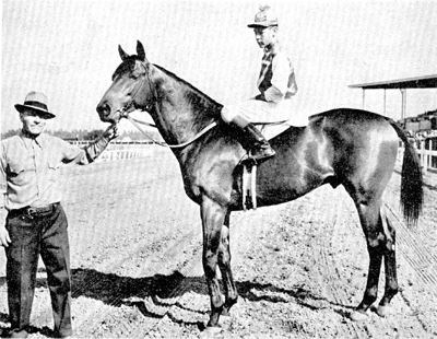 This is Seabiscuit and Red Pollared