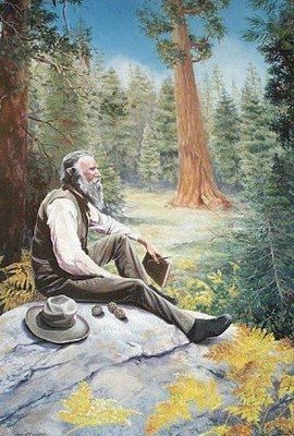 John Muir in the wilderness he loved ( thisandthatandmoreofthesame.blogspot.com)