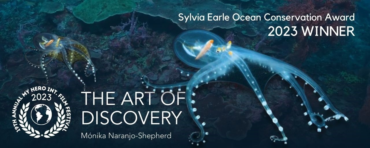 art of discovery - ocean winner