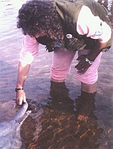 Roxanne Kremer with pink dolphin
