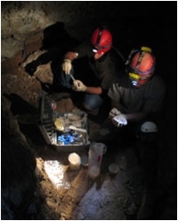 (L to R) Nick Taylor and Adin Pemberton collecting samples in Carlsbad Caverns, NM. (Image courtesy of Hazel Barton)