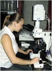 Jennifer Millette examines cave microbes using a fluorescent microscope. (Image courtesy of Hazel Barton)