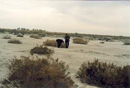 Dilfuza and colleague checking salination of soil.