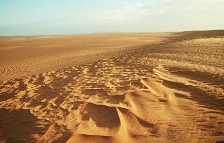 Sahara