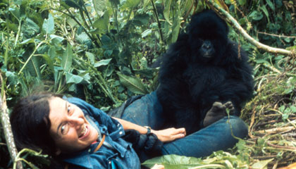 g215834_u62202_dian_fossey.jpg