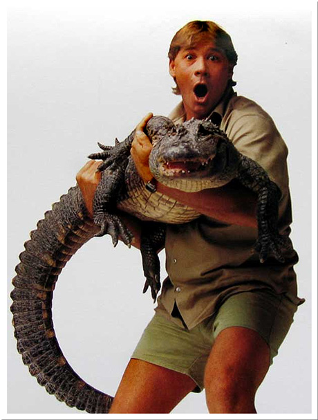 [Image: g222684_u68831_steve-irwin.jpg]