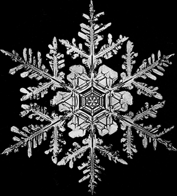 this is a snowflake he took a picture of