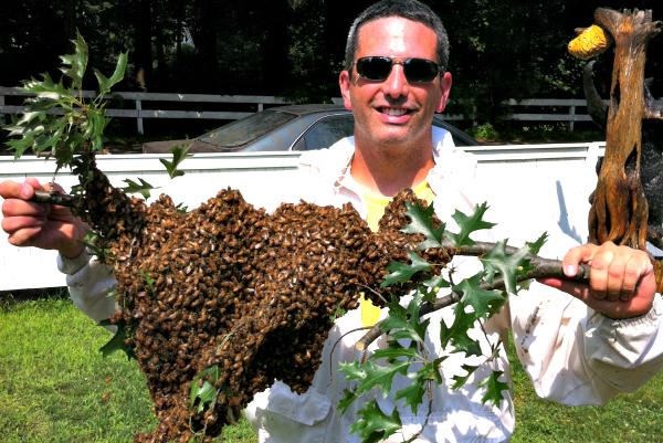 Picture of Andrew Cote roams the world to teach the sweet science of beekeeping