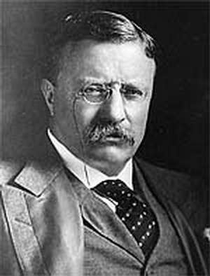 Picture of Theodore Roosevelt