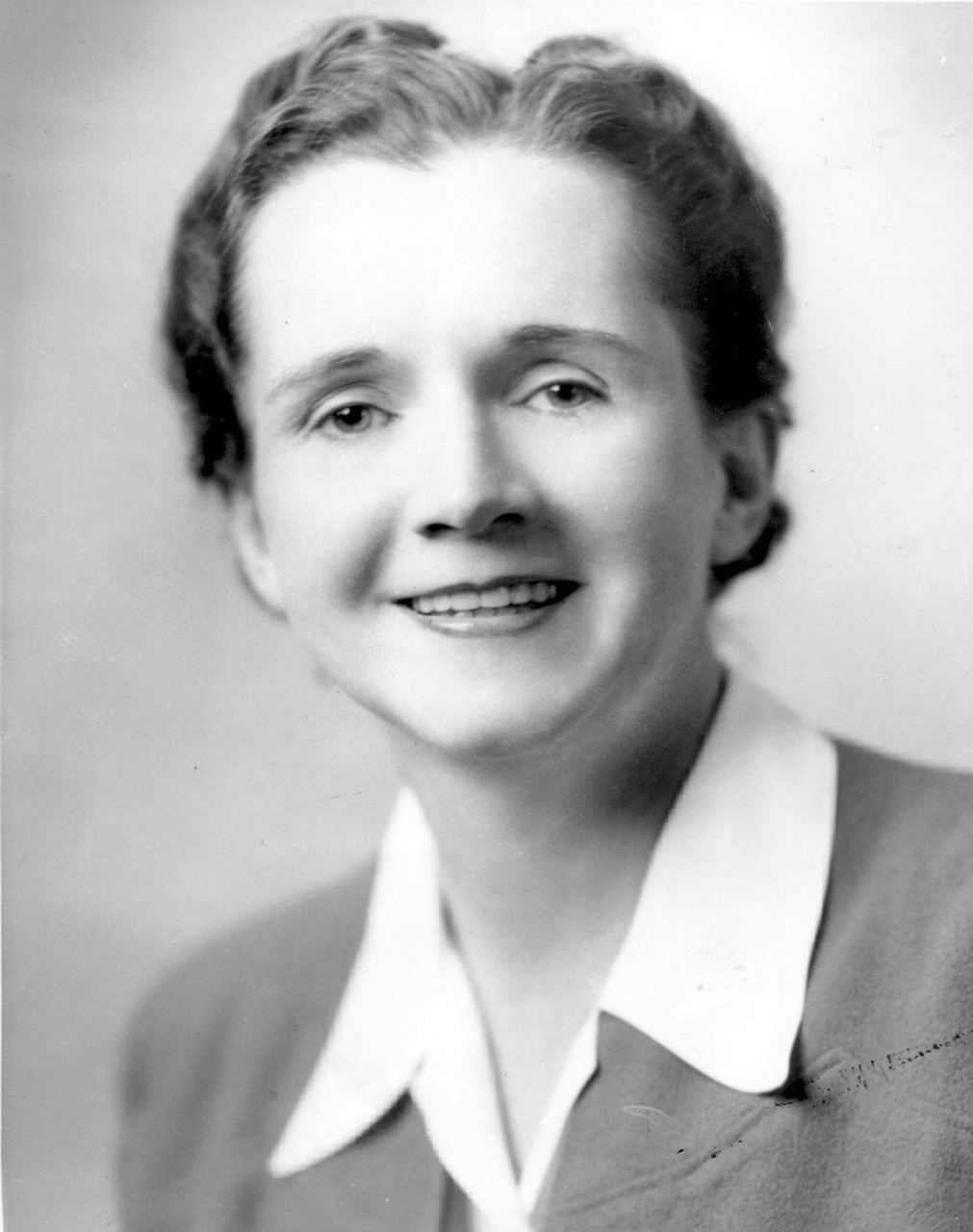 Picture of Earthkeeper Hero: Rachel Carson by Wendy Jewell