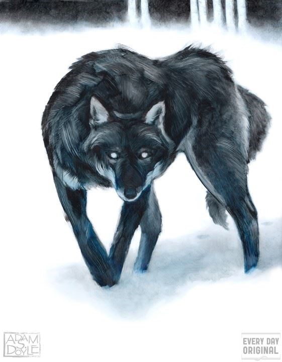 A Wolf (http://www.everydayoriginal.com/product/1770/ (Adam S. Doyle))
