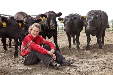 Temple Grandin being with the animals she loves. (www.discovermagizine.com (Rosalie Winard))