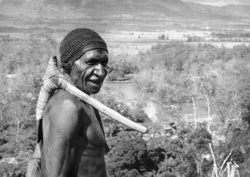 In this Feb. 20, 1962 file photo, an elder warrior with a stone axe over his shoulder stands over the Baliem Valley in the central mountain range of Papua New Guinea. New research published Wednesday, Sept. 21, 2016 suggests that the genetic ancestry of people living outside Africa can be traced almost completely to a single exodus of humans from that continent long ago. But some native islanders of Papua New Guinea may also carry a tiny legacy from an earlier exit. (AP Photo)